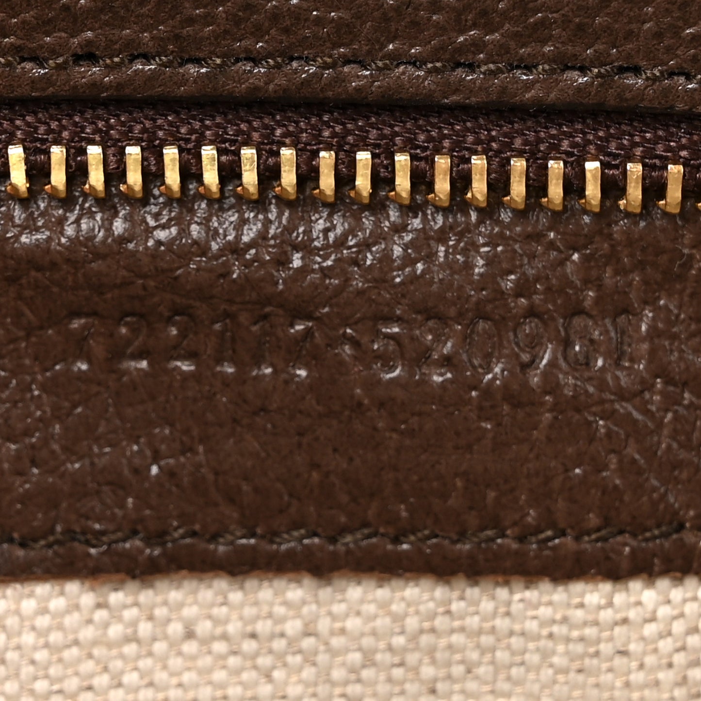 GG Supreme Monogram Textured Dollar Calfskin Web Studded Mini Ophidia Flap Shoulder Bag Beige Ebony New Acero