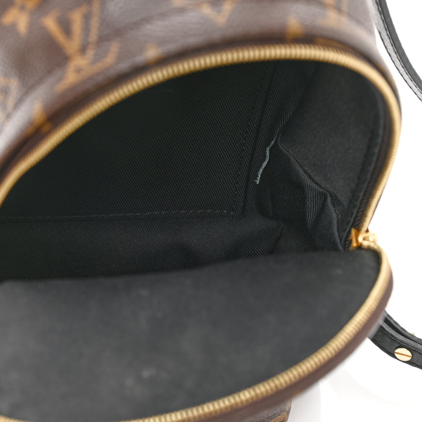 Monogram Palm Springs Backpack Mini