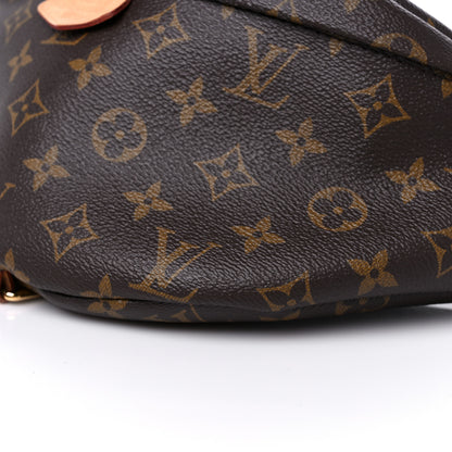 Louis Vuitton Monogram Bumbag 9 of 14