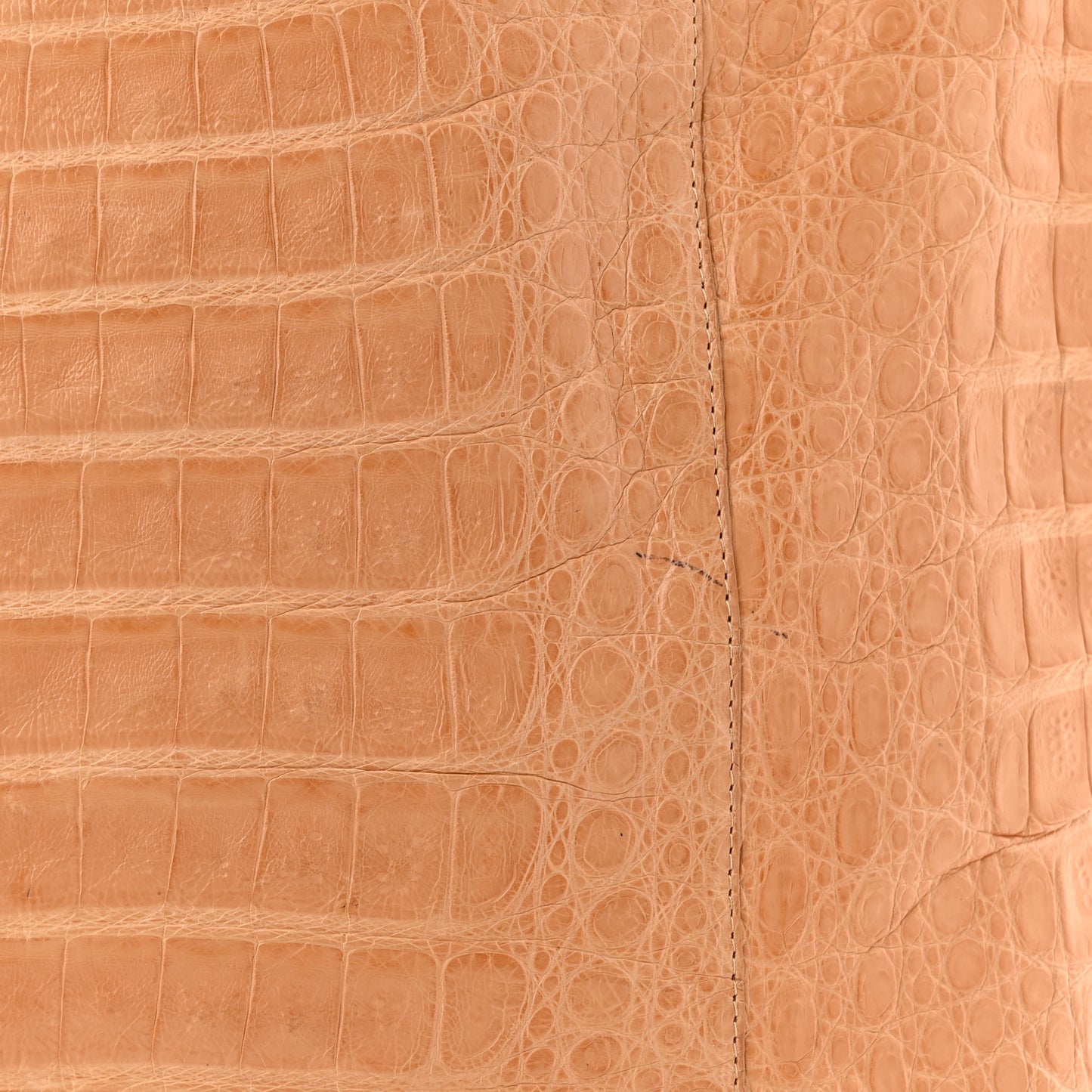 Crocodile Leaf Tote Beige