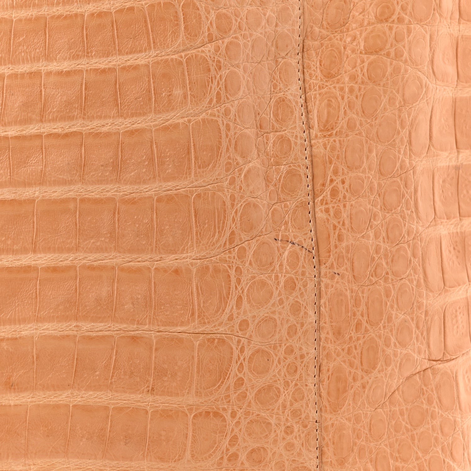 Nancy Gonzalez Crocodile Leaf Tote Beige 10 of 11