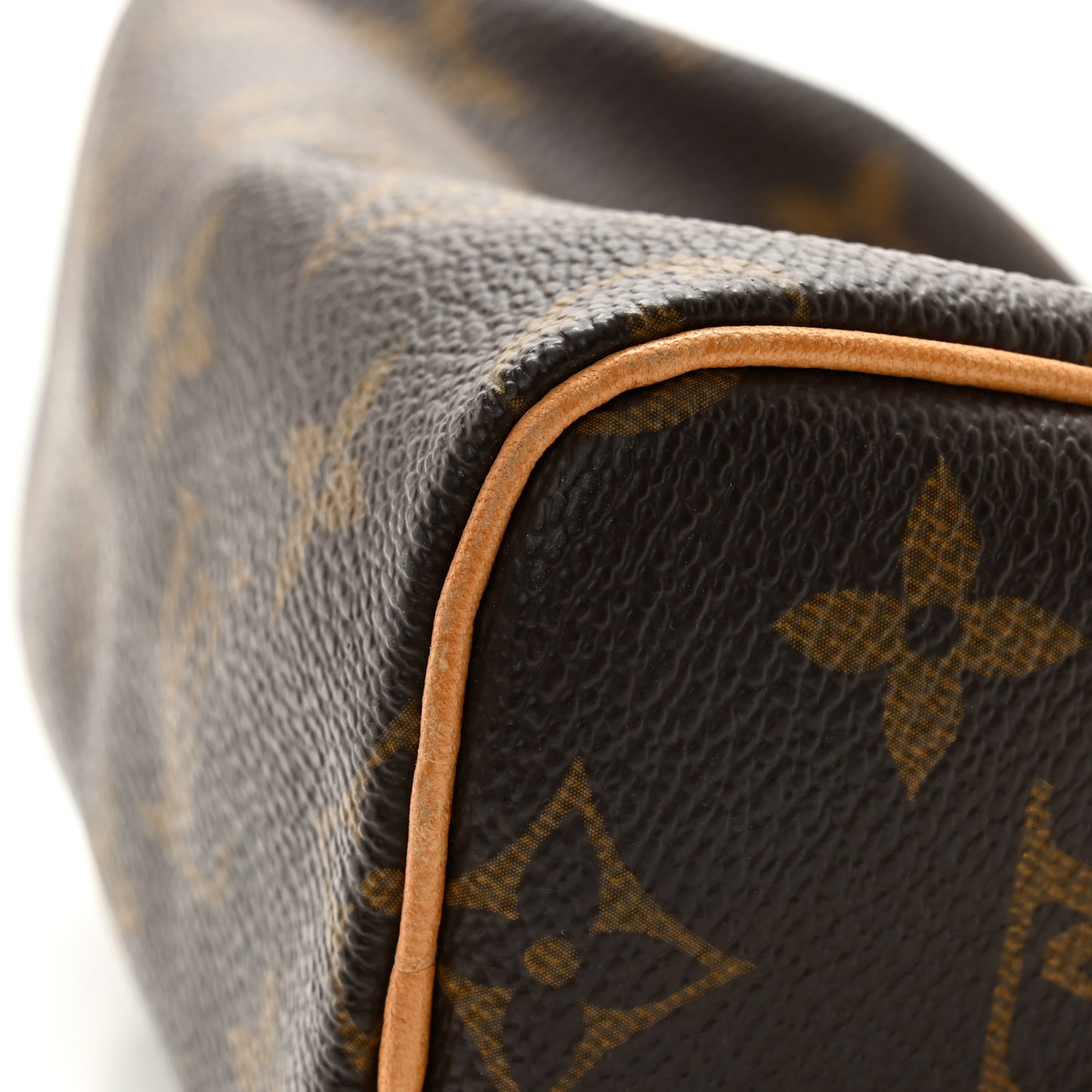 Monogram Mini Sac HL Speedy