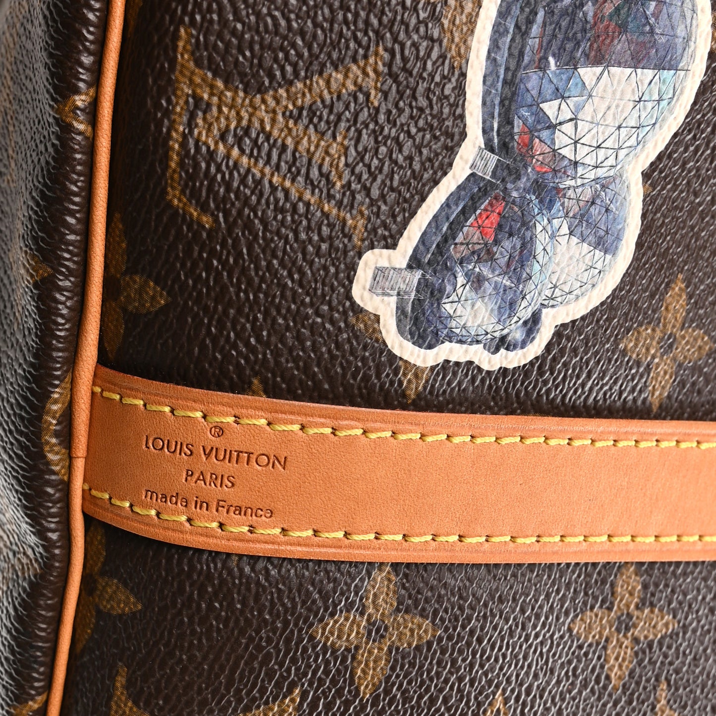 Monogram World Tour Speedy Bandouliere 30