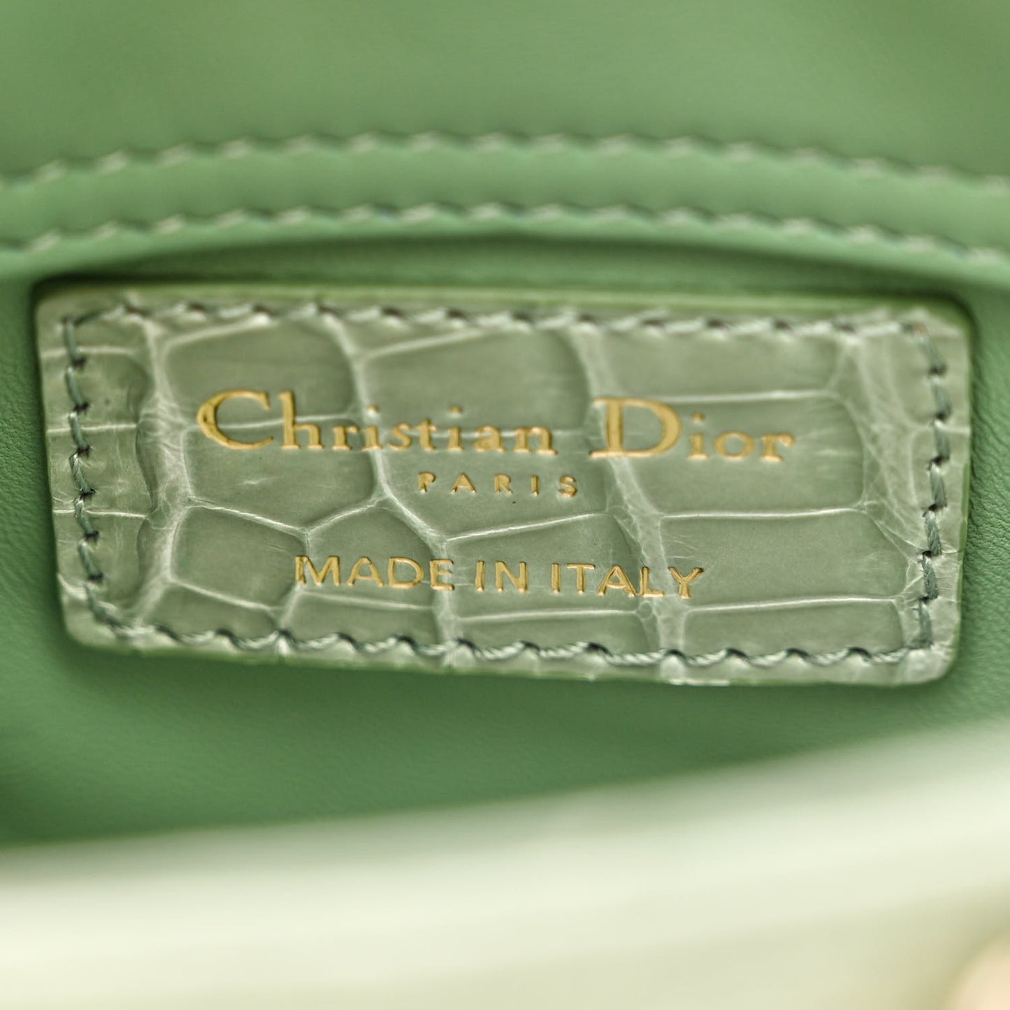 Shiny Crocodile Micro Lady Dior Green