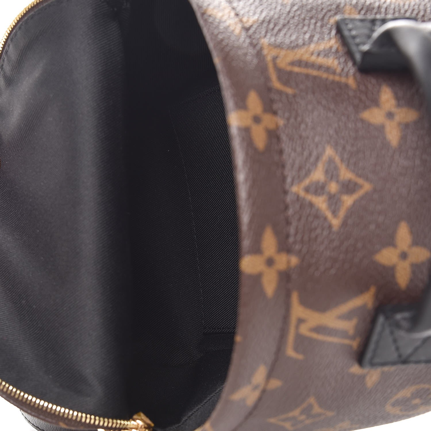 Louis Vuitton Monogram Palm Springs Backpack Mini 5 of 7