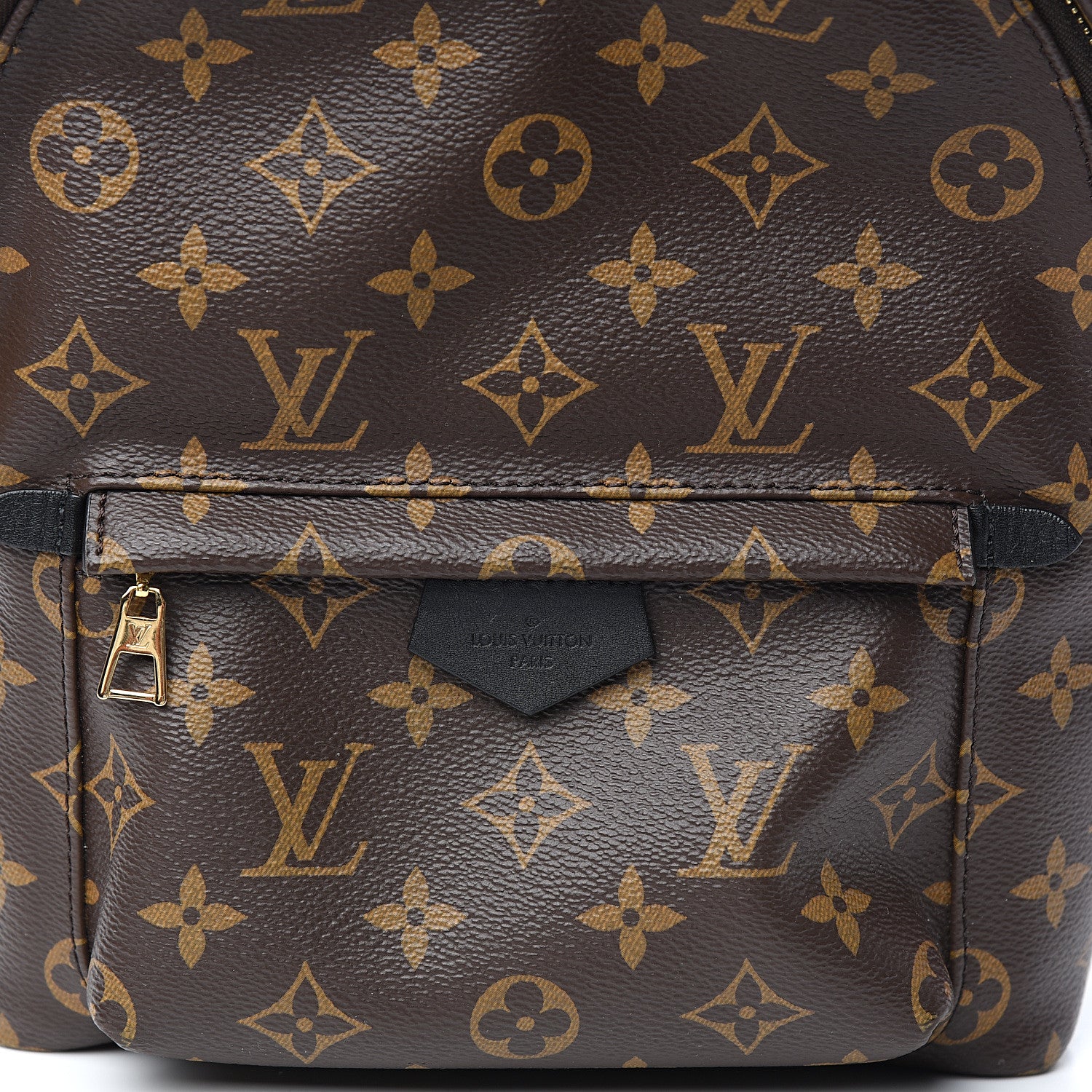 Louis Vuitton Monogram Palm Springs Backpack PM 9 of 9