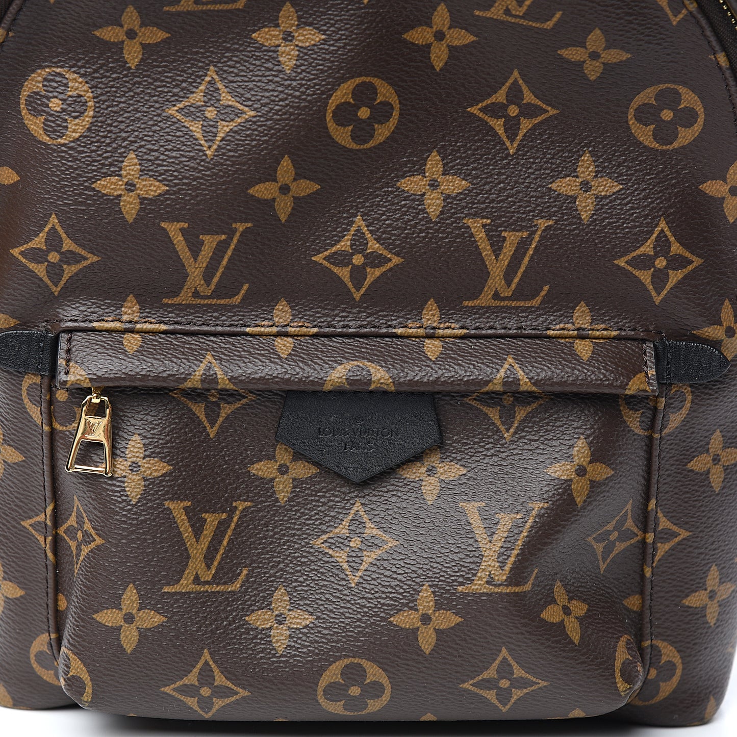 Monogram Palm Springs Backpack PM