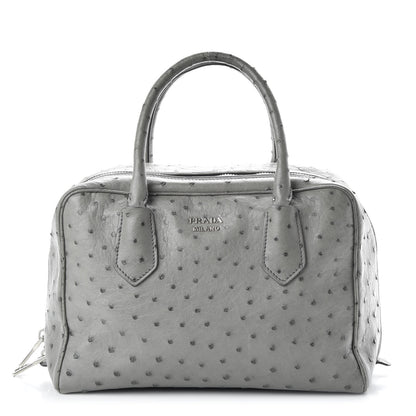 Prada Ostrich Lage Inside Tote Grey 1 of 9