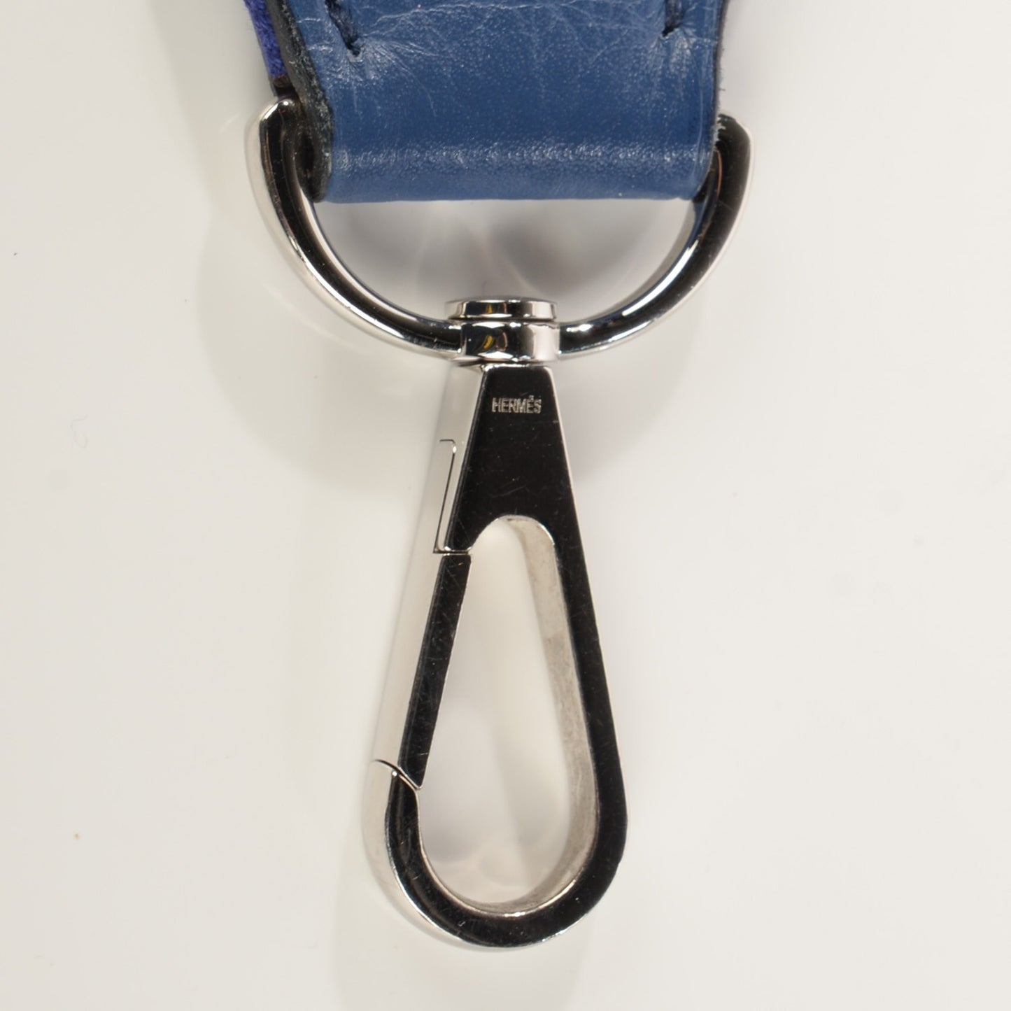 Taurillon Clemence Evelyne II PM Brighton Bleu