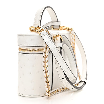 Louis Vuitton Ostrich Vanity Chain Pouch 3 of 9