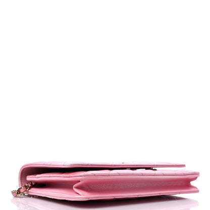 Chanel Cloudy Pearly Goatskin Quilted Wallet on Chain WOC Light Pink 4 of 13