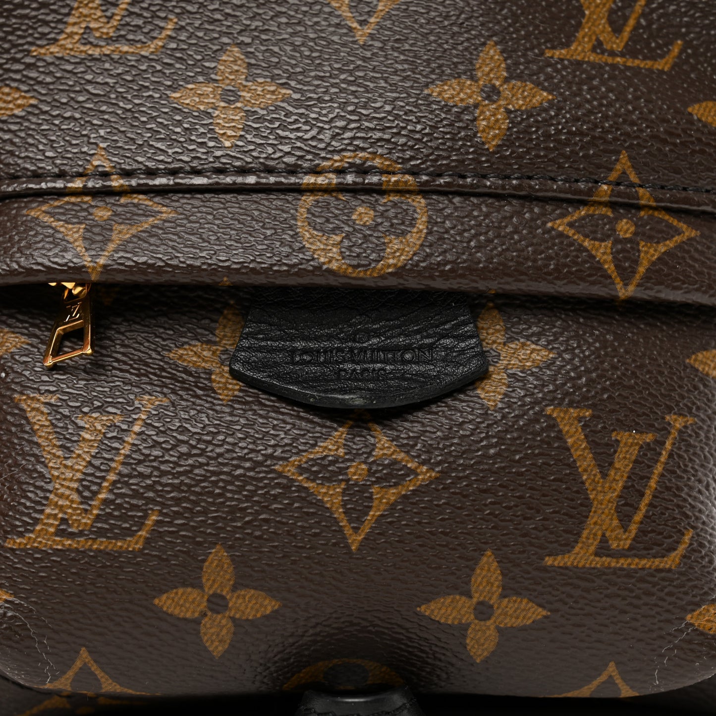 Monogram Palm Springs Backpack Mini