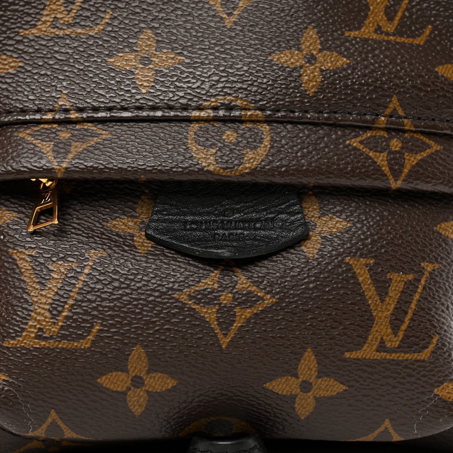 Louis Vuitton Monogram Palm Springs Backpack Mini 10 of 11