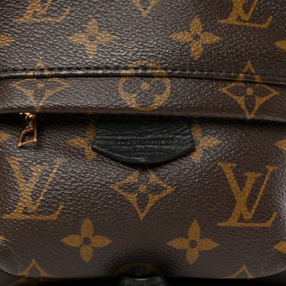 Louis Vuitton Monogram Palm Springs Backpack Mini 10 of 11