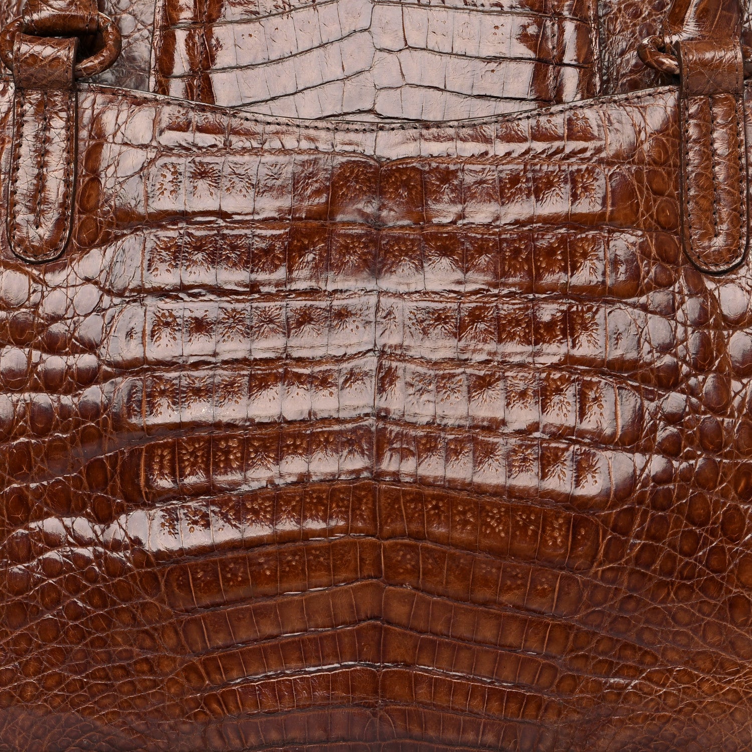 Nancy Gonzalez Crocodile Tote Brown 9 of 12