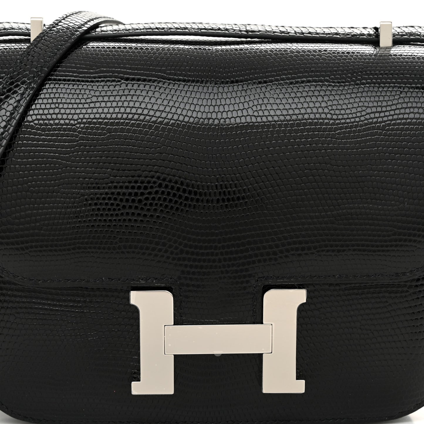 Lizard Constance 18 Black