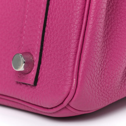 Hermes Togo Birkin 25 Rose Pourpre 12 of 20