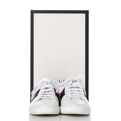 Gucci Calfskin Crocodile Web Ace Sneakers 35.5 White Green 9 of 9