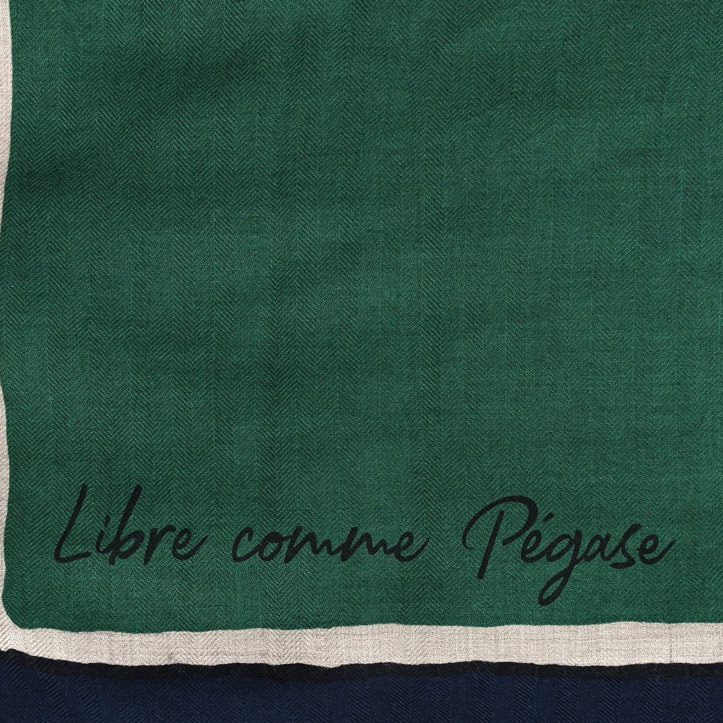 Cashmere Silk Libre Comme Pegase Shawl 140 Vert Naturel Bleu