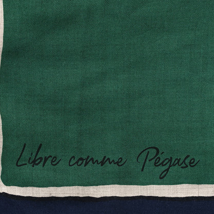 Hermes Cashmere Silk Libre Comme Pegase Shawl 140 Vert Naturel Bleu 4 of 4