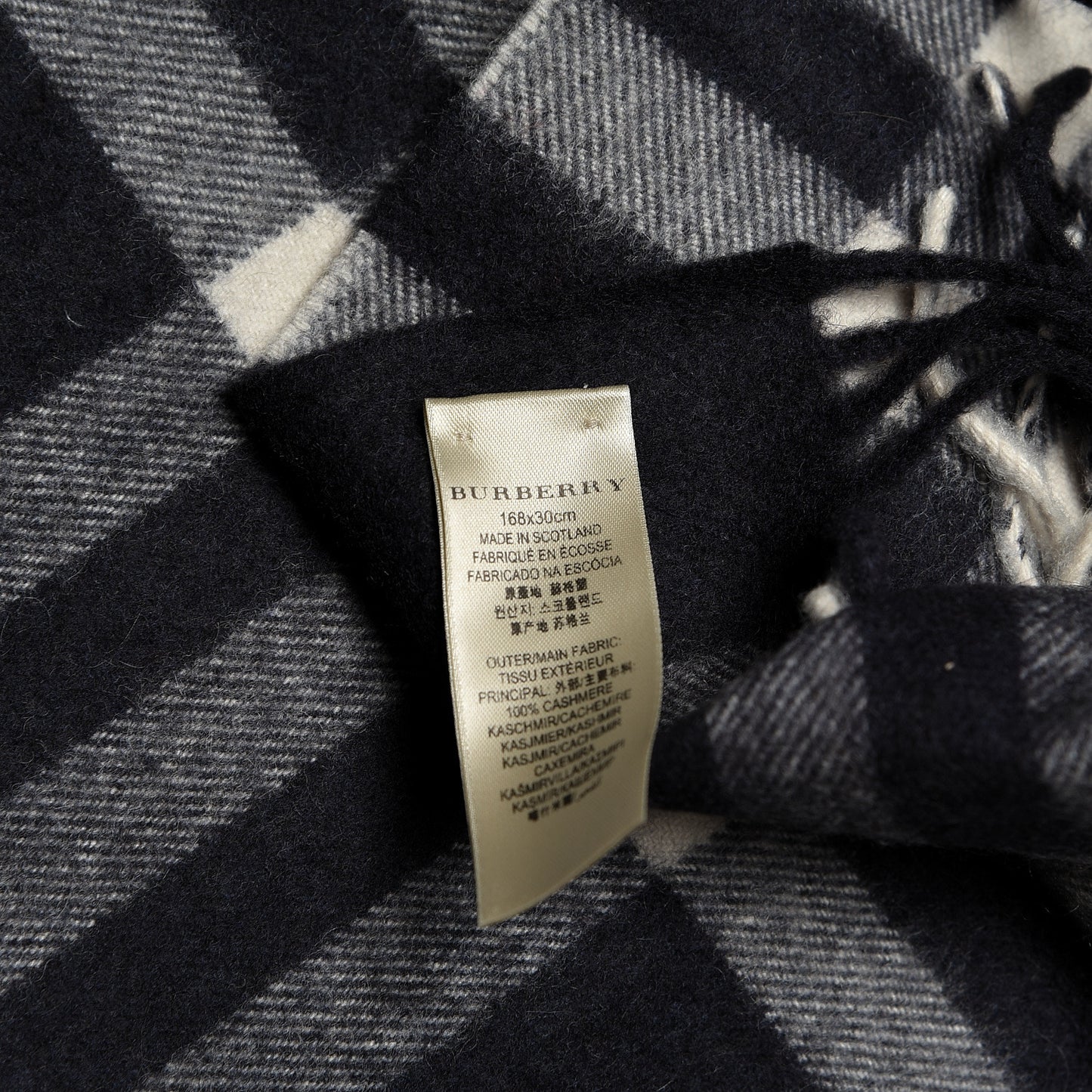 Cashmere Nova Check Fringe Scarf Blue