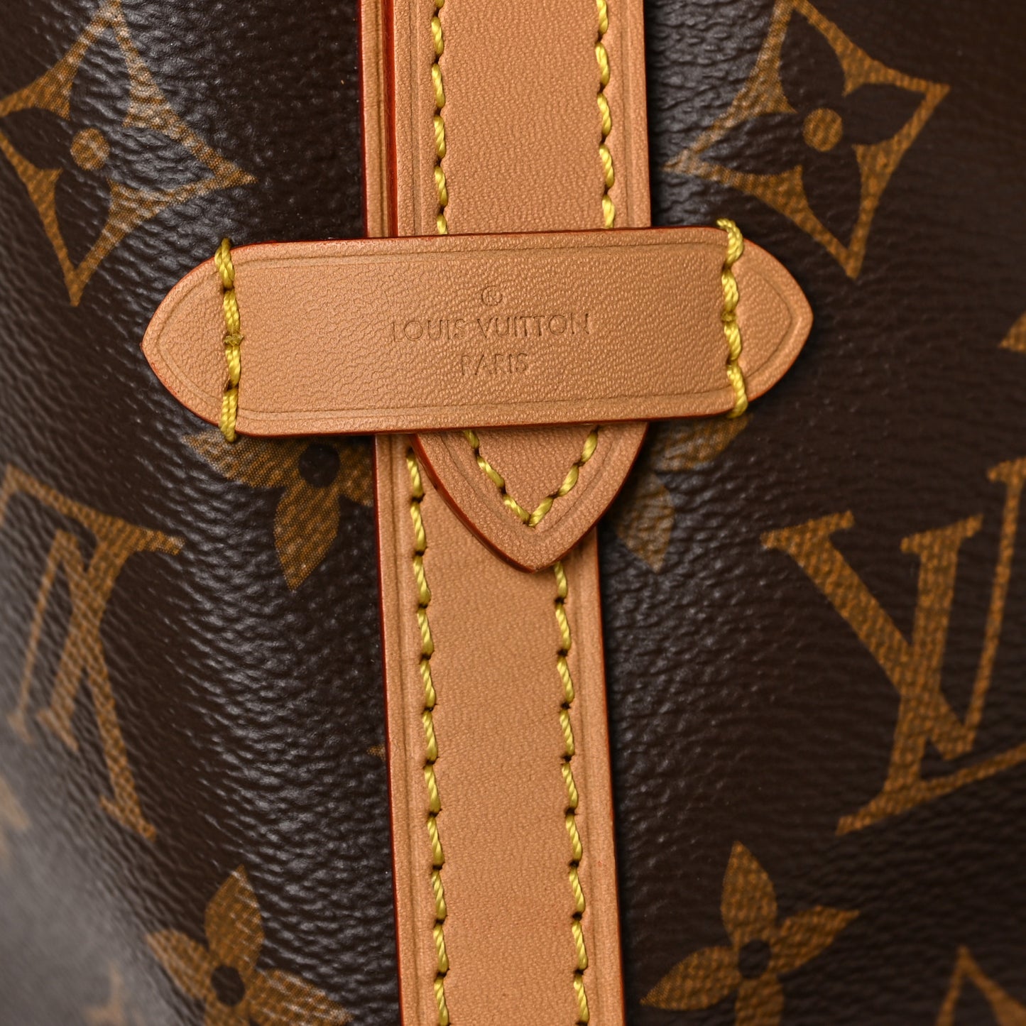 Monogram CarryAll PM
