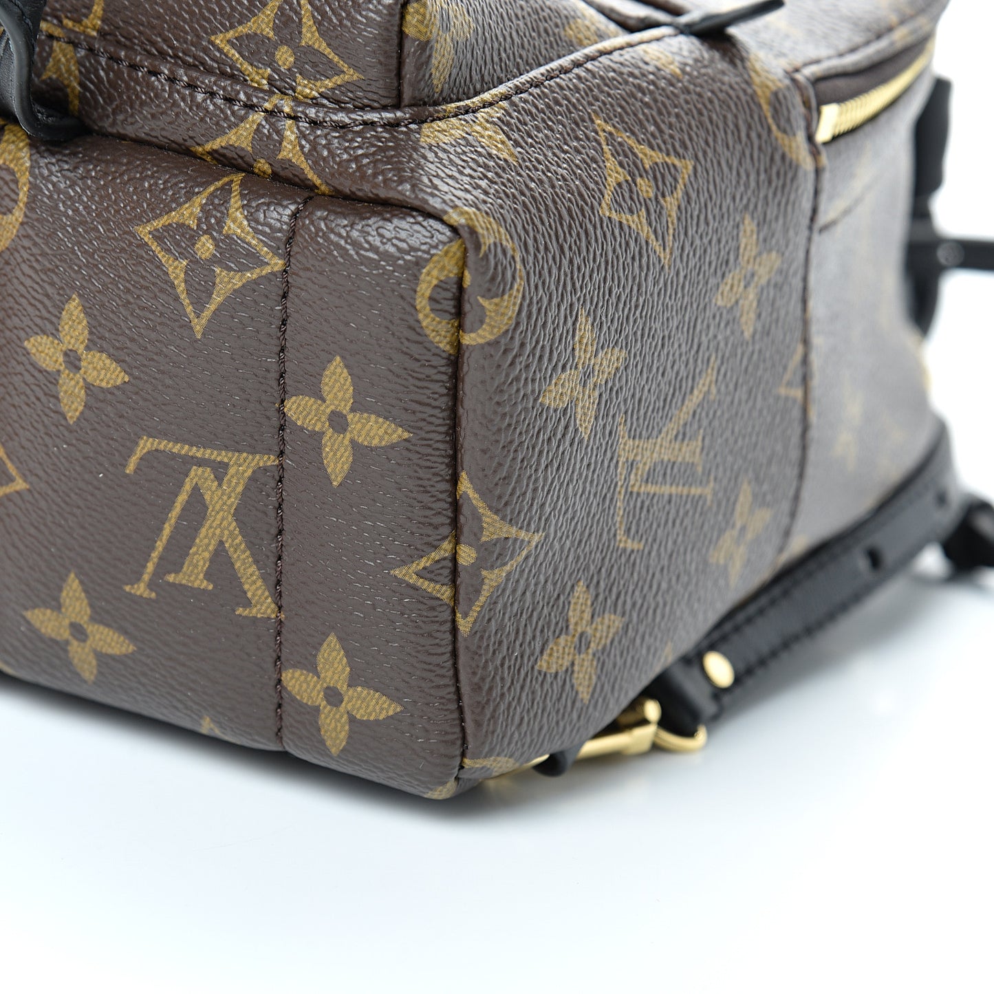Monogram Palm Springs Backpack Mini