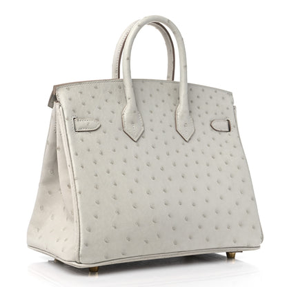 Hermes Ostrich Birkin 25 Gris Perle 3 of 10