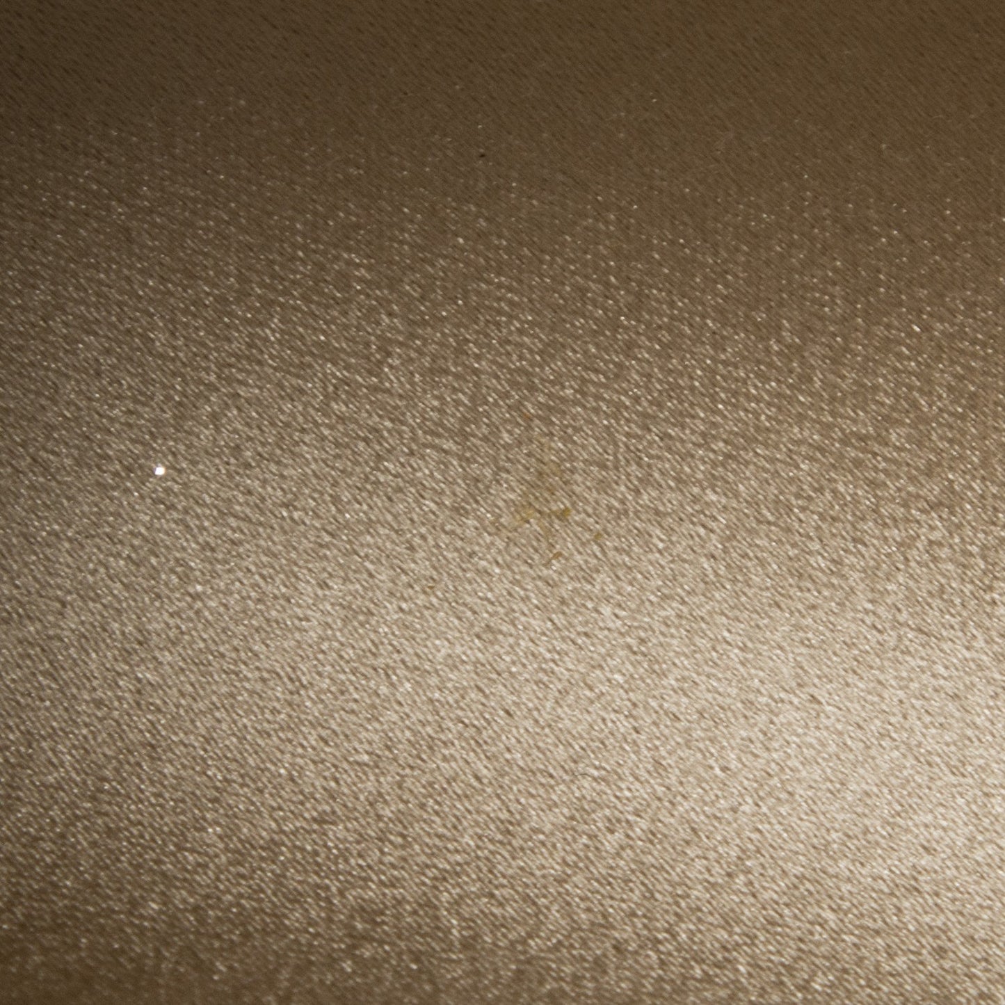 Lame Glitter Tube Clutch Light Gold