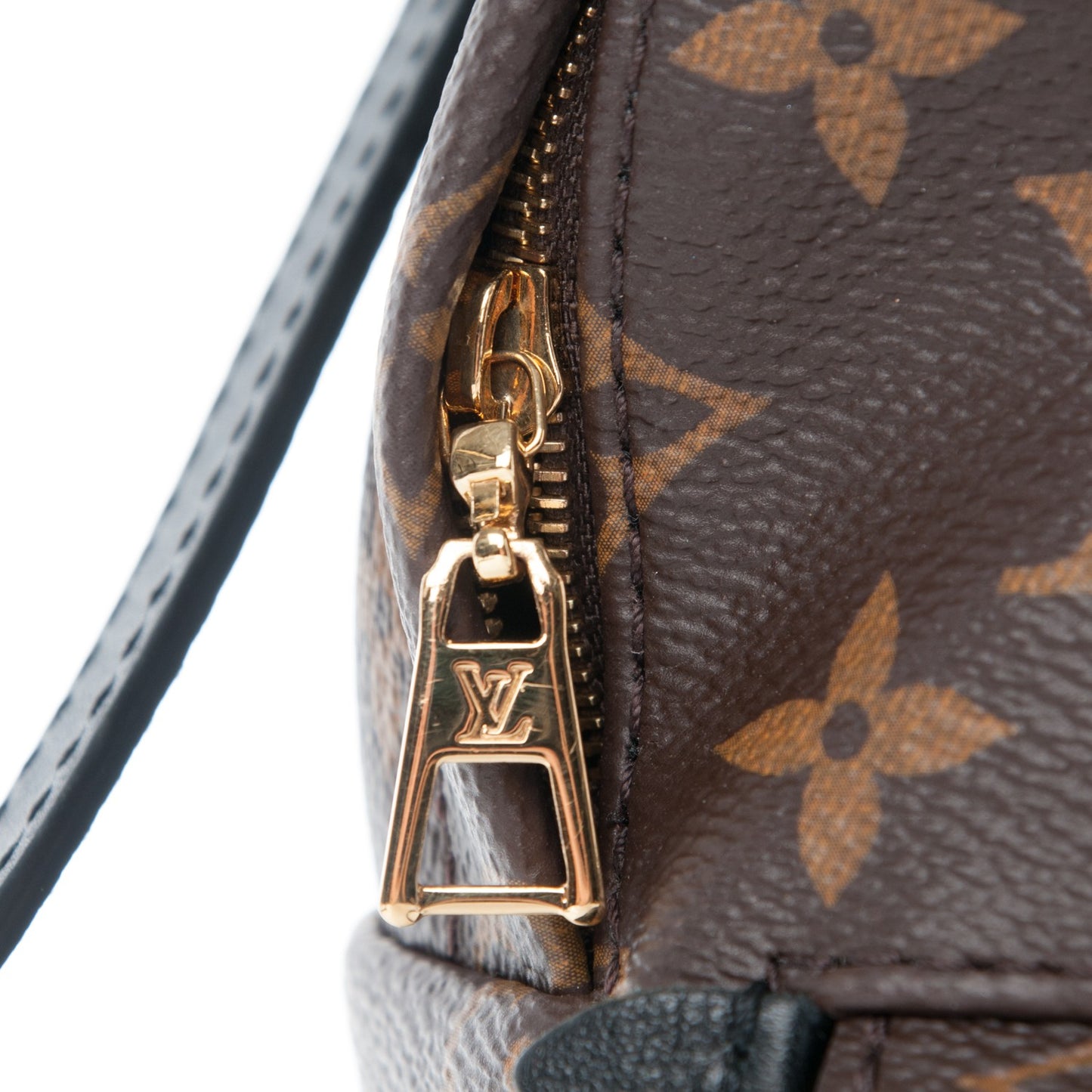 Monogram Palm Springs Backpack Mini