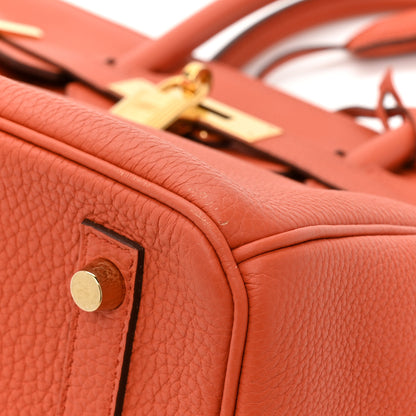 Hermes Togo BIRKIN 30 Terre Battue 10 of 12