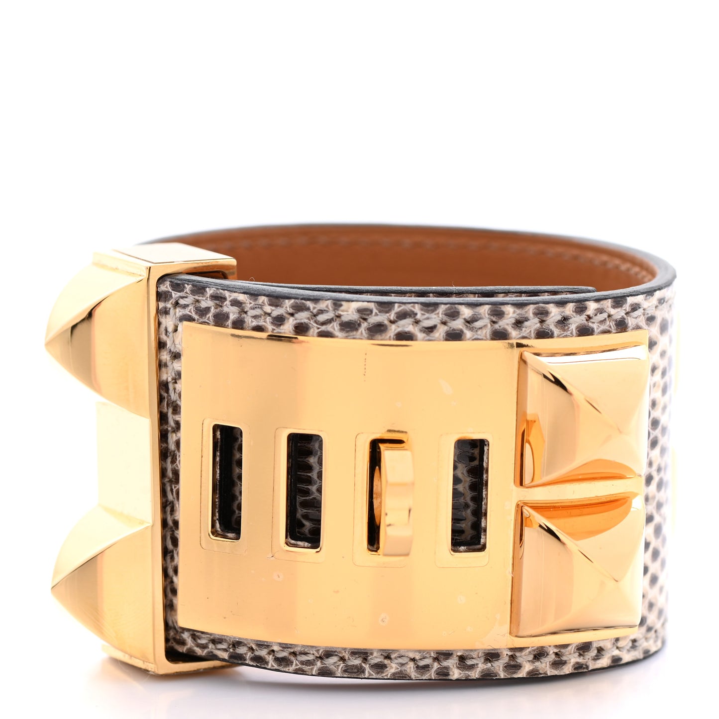 Lizard Collier De Chien CDC Bracelet T2 Ombre