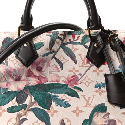 Louis Vuitton Monogram Dune Botanical Speedy Soft 30 7 of 10