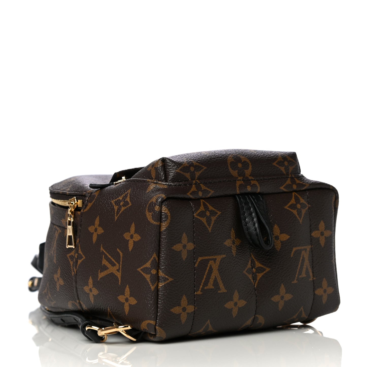 Monogram Palm Springs Backpack Mini