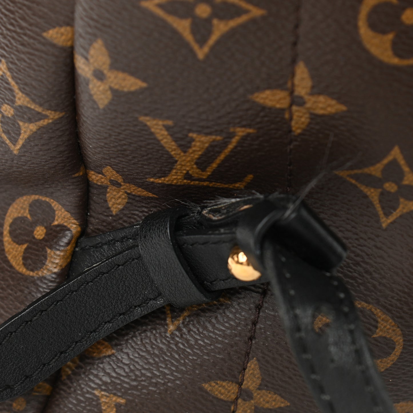 Monogram Palm Springs Backpack MM