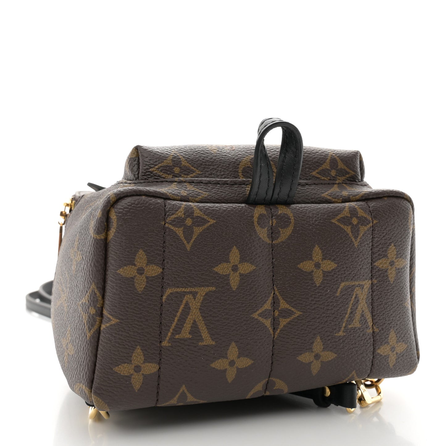 Monogram Palm Springs Backpack Mini