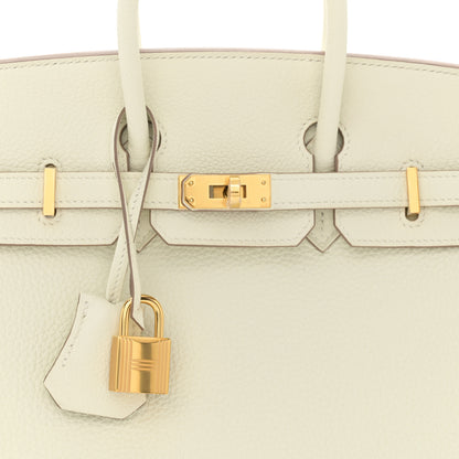 Hermes Togo Birkin 25 Mushroom 8 of 10