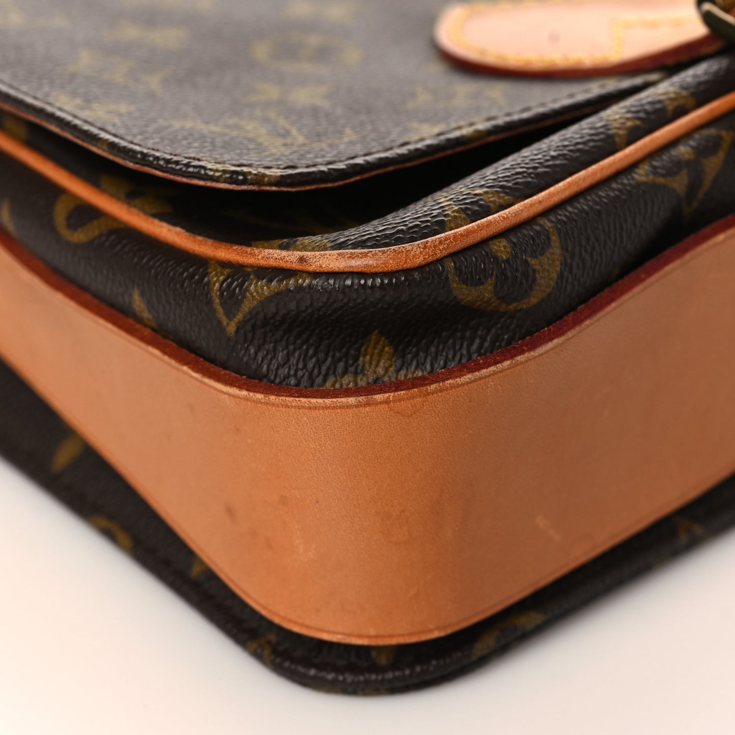 Monogram Cartouchiere 22