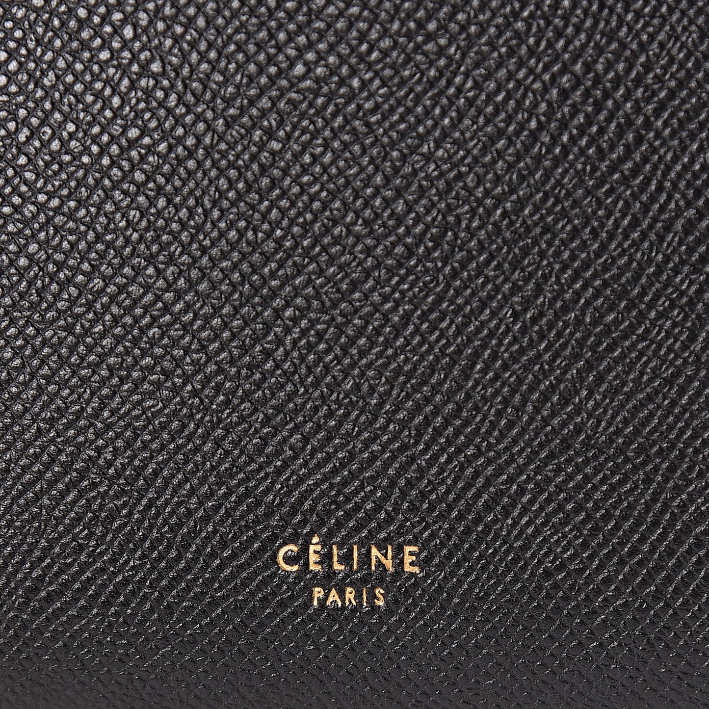Grained Calfskin Nano Belt Bag Black