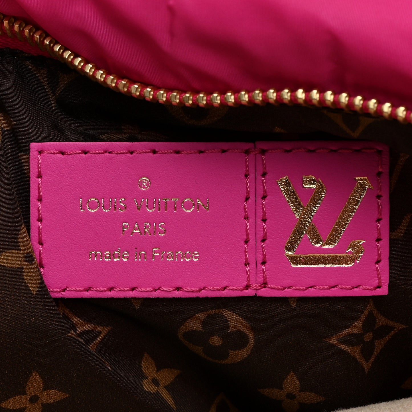 Econyl Monogram Pillow Maxi Multi Pochette Accessories Mini Pochette Fuchsia
