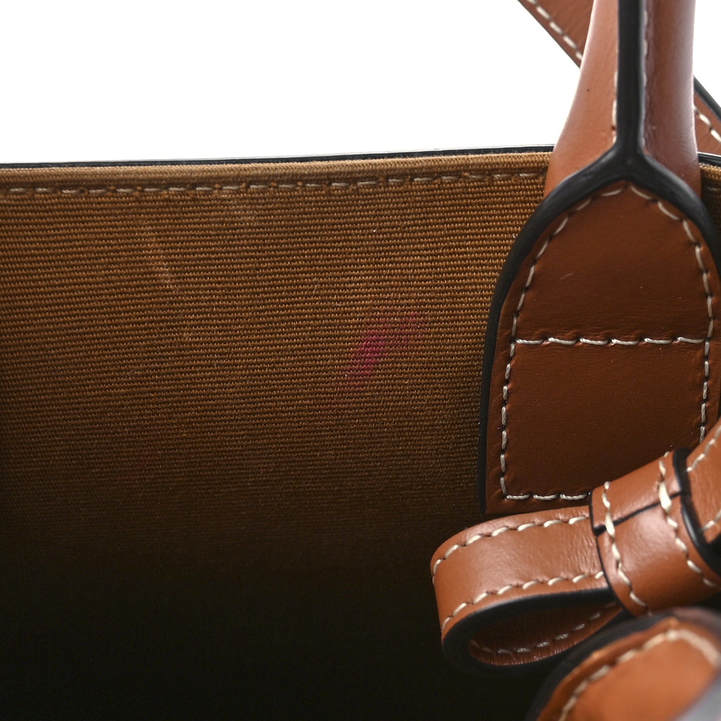 Triomphe Canvas Calfskin Mini Vertical Cabas Tan