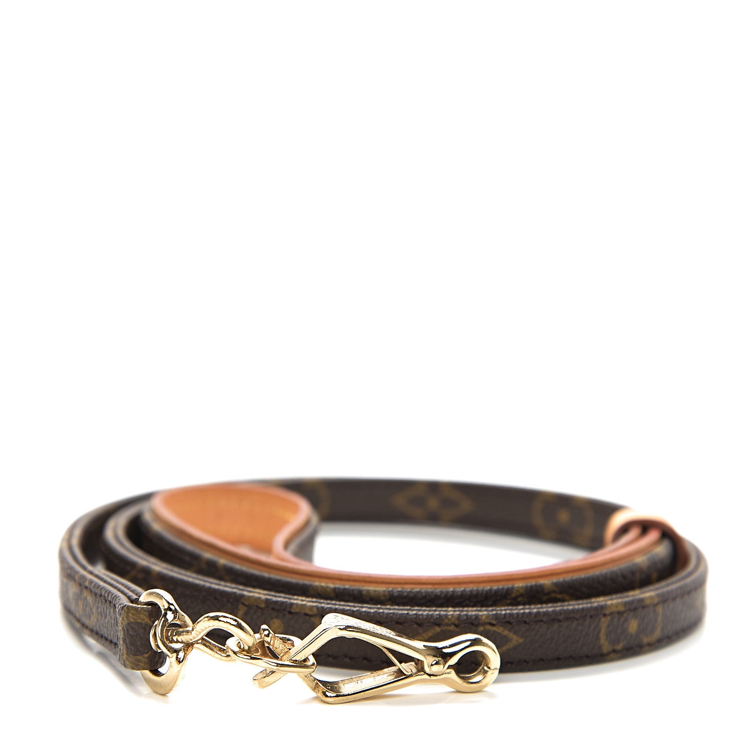 Louis Vuitton Monogram Baxter Dog Leash MM 1 of 3