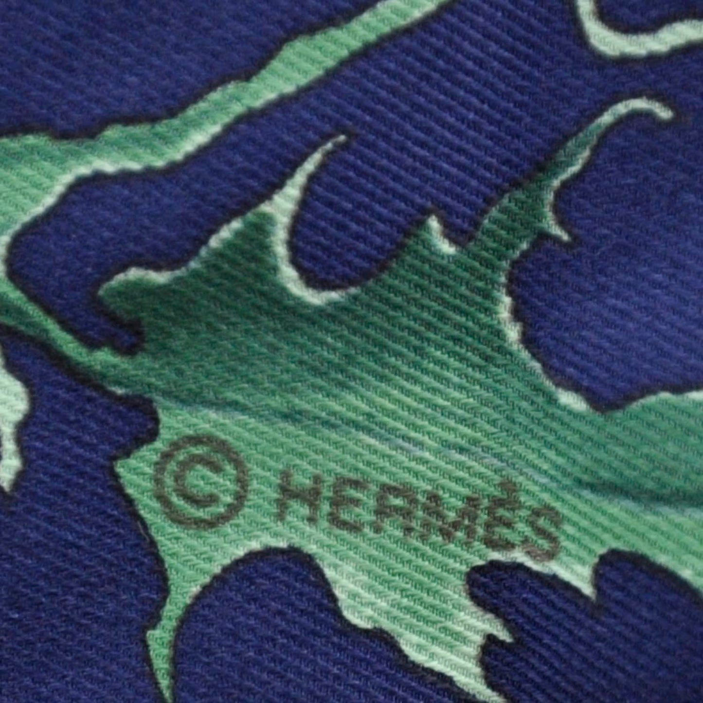 Silk Faune et Flore du Texas Scarf 70