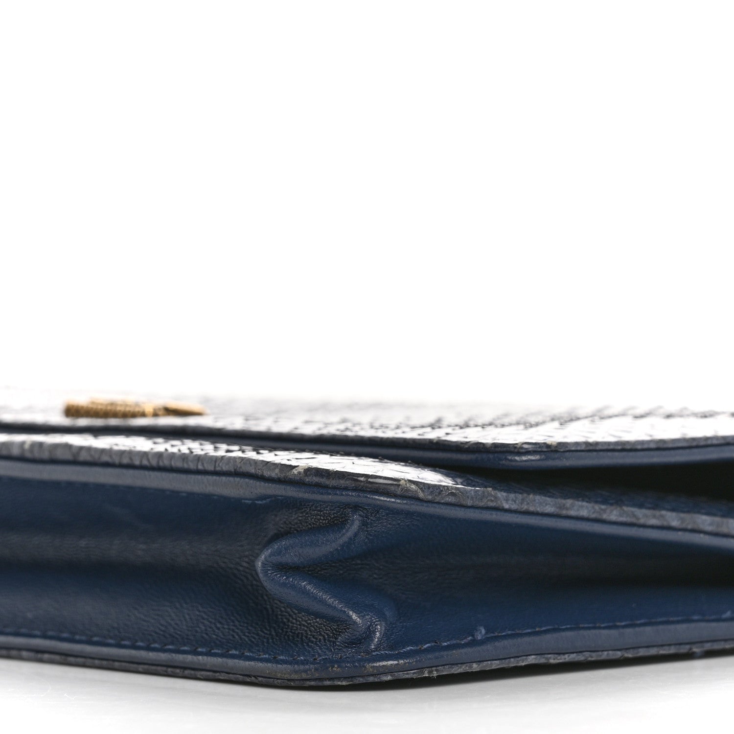 Chanel Snakeskin Wallet On Chain WOC Blue 11 of 18