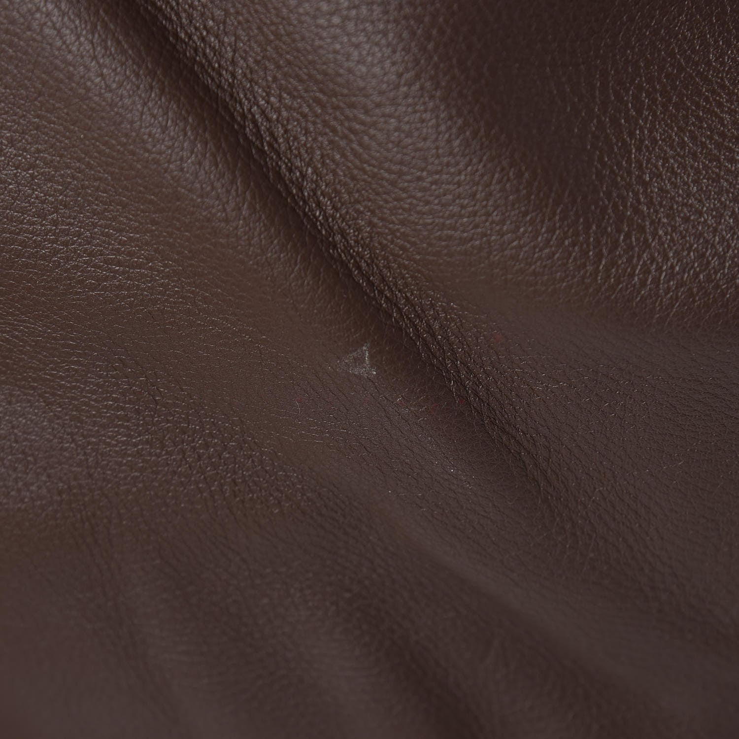 Chloe Calfskin Large Marcie Hobo Truffle 12 of 16