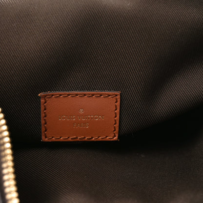 Louis Vuitton Reverse Monogram Loop Hobo 6 of 9