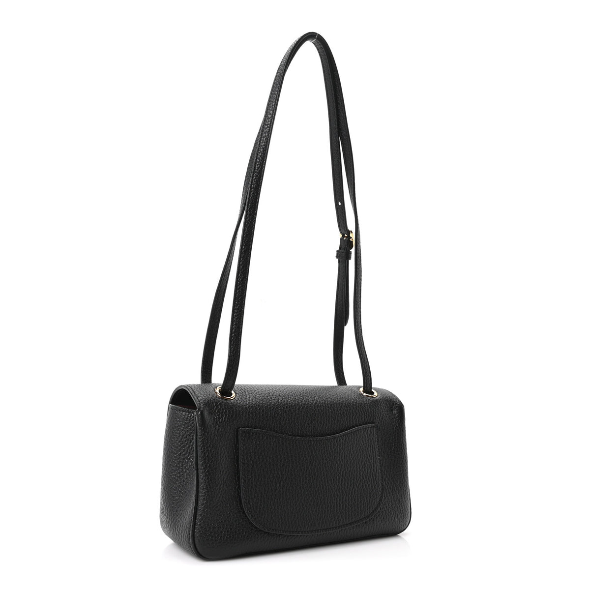 Grained Calfskin Mini Souplissimo Maxi Flap Black