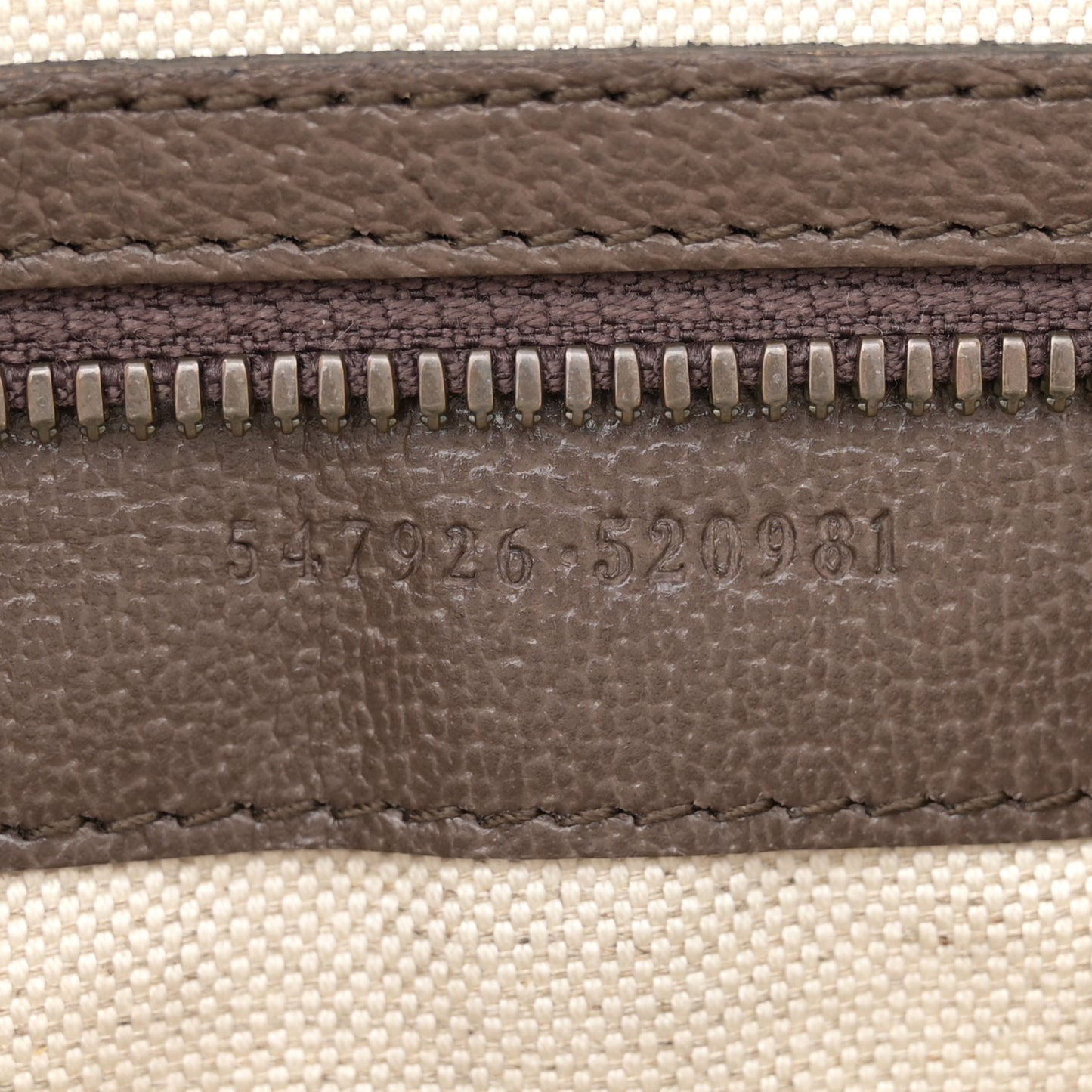 GG Supreme Monogram Web Small Ophidia Messenger Bag Brown