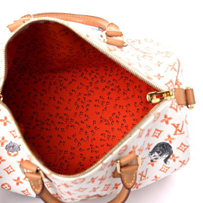 Louis Vuitton Catogram Speedy Bandouliere 30 5 of 17