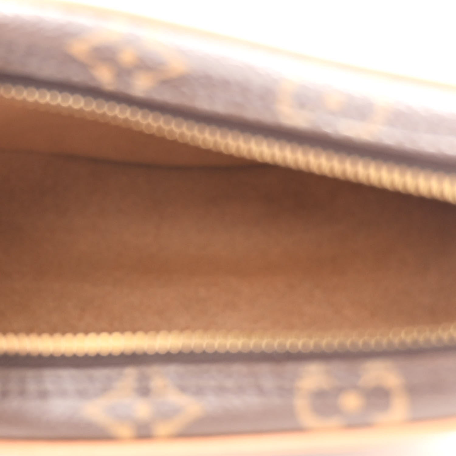 Louis Vuitton Monogram Loop 5 of 10